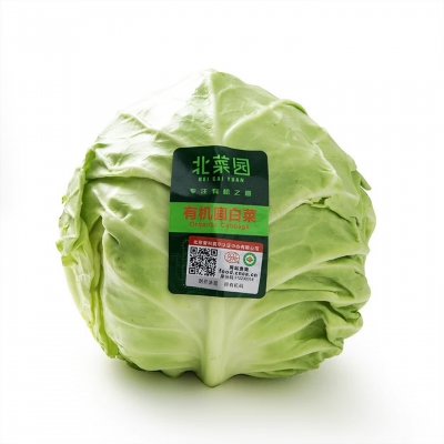 北菜园有机圆白菜400g 卷心菜包菜新鲜蔬菜