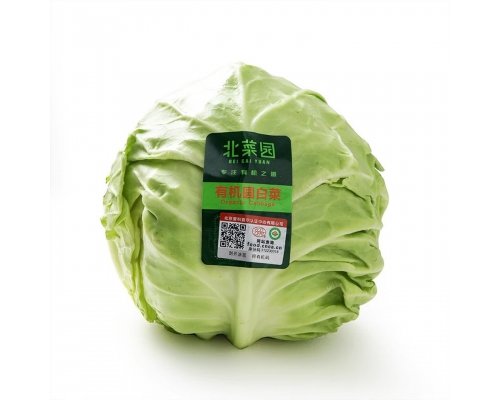 北菜园有机圆白菜400g 卷心菜包菜新鲜蔬菜