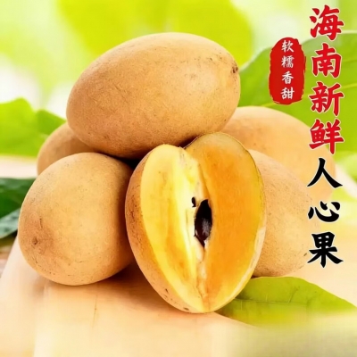 现货海南人心果新鲜应当季孕妇稀罕见水果进口现摘孕妇水果 3斤 圆果 x 单果90-120g