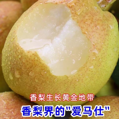 【顺丰】新疆库尔勒香梨 脆甜香妃梨子送礼 新鲜水果礼盒 5斤【全母梨】 一级【单果100-120g】