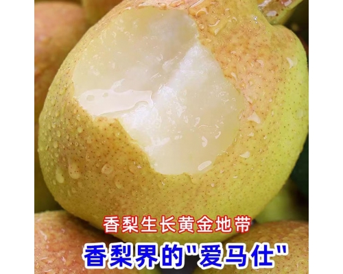 【顺丰】新疆库尔勒香梨 脆甜香妃梨子送礼 新鲜水果礼盒 5斤【全母梨】 一级【单果100-120g】
