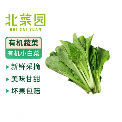 北菜园有机绿小白菜250g火锅食材有机新鲜蔬菜 现摘先发
