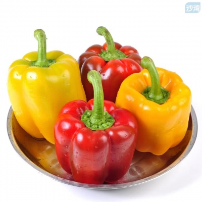 山东彩椒净重2.5斤单果100g+新鲜脆甜蔬菜源头直发包邮