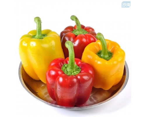 山东彩椒净重2.5斤单果100g+新鲜脆甜蔬菜源头直发包邮