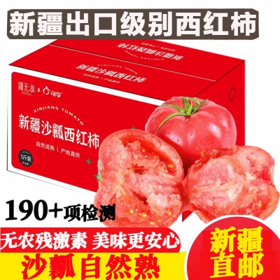 沃鲜谷新疆沙瓤西红柿【空运到家】吐鲁番普罗旺斯生吃番茄 新鲜蔬菜 5斤 中果 13-15枚净4.5-4.8斤